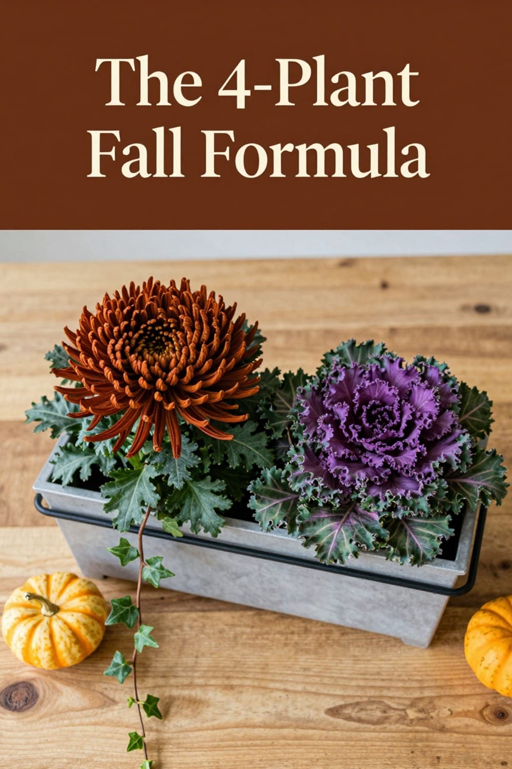 Four fall plants combined in one railing planter box: mum, kale, grass, and trailing ivy