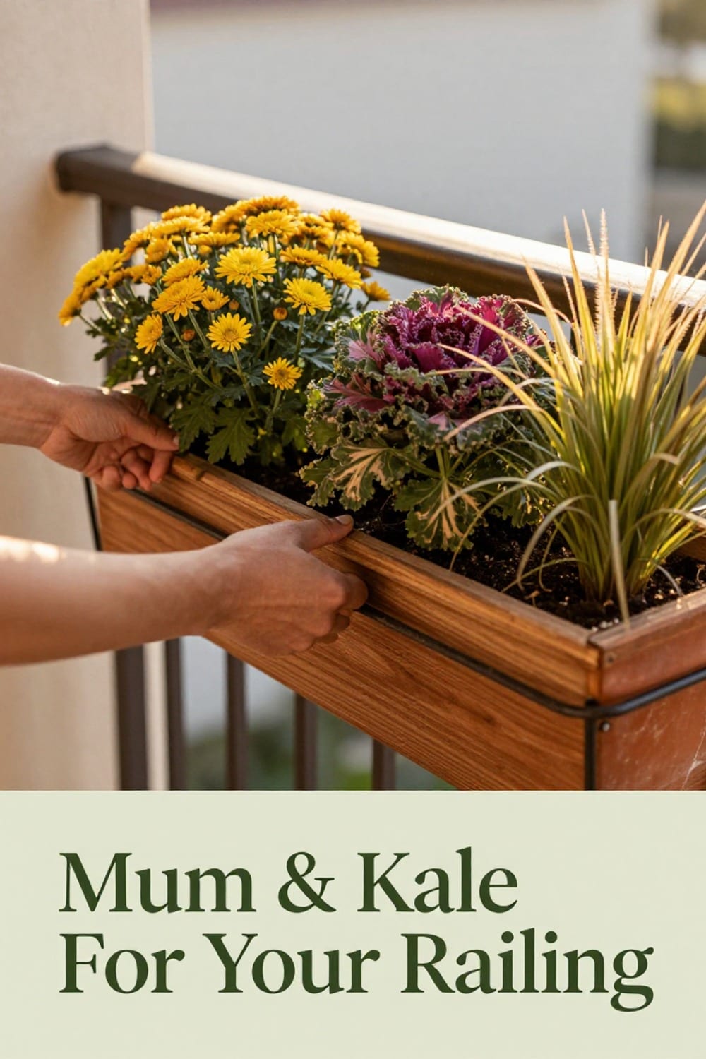 Hands adjusting railing planter boxes filled with mums, ornamental kale, and grasses